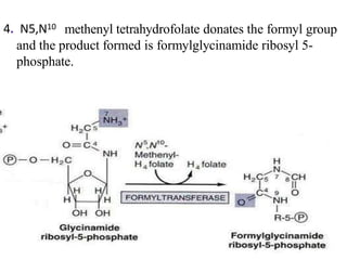 4. N5,N10 methenyl tetrahydrofolate donates the formyl group
and the product formed is formylglycinamide ribosyl 5-
phosphate.
 