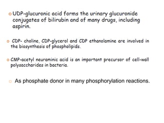 o As phosphate donor in many phosphorylation reactions.
 