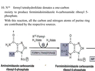 10. N10 formyl tetrahydrofolate donates a one-carbon
moiety to produce formimidoimidazole 4-carboxamide ribosyl 5-
phosphate.
With this reaction, all the carbon and nitrogen atoms of purine ring
are contributed by the respective sources.
 