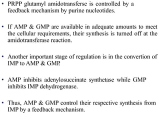 • PRPP glutamyl amidotransferse is controlled by a
feedback mechanism by purine nucleotides.
• If AMP & GMP are available in adequate amounts to meet
the cellular requirements, their synthesis is turned off at the
amidotransferase reaction.
• Another important stage of regulation is in the convertion of
IMP to AMP & GMP.
• AMP inhibits adenylosuccinate synthetase while GMP
inhibits IMP dehydrogenase.
• Thus, AMP & GMP control their respective synthesis from
IMP by a feedback mechanism.
 