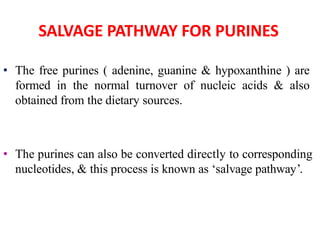 SALVAGE PATHWAY FOR PURINES
• The free purines ( adenine, guanine & hypoxanthine ) are
formed in the normal turnover of nucleic acids & also
obtained from the dietary sources.
• The purines can also be converted directly to corresponding
nucleotides, & this process is known as ‘salvage pathway’.
 