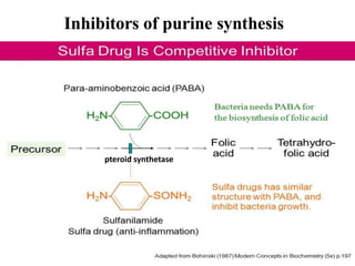 Inhibitors of purine synthesis
pteroid synthetase
 