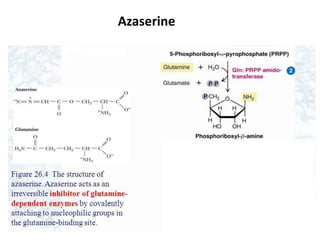 Azaserine
 