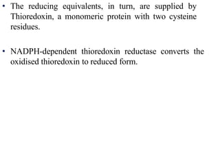 • The reducing equivalents, in turn, are supplied by
Thioredoxin, a monomeric protein with two cysteine
residues.
• NADPH-dependent thioredoxin reductase converts the
oxidised thioredoxin to reduced form.
 