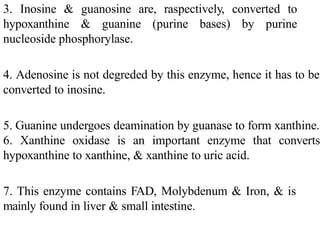 3. Inosine & guanosine are, raspectively, converted to
hypoxanthine & guanine (purine bases) by purine
nucleoside phosphorylase.
4. Adenosine is not degreded by this enzyme, hence it has to be
converted to inosine.
5. Guanine undergoes deamination by guanase to form xanthine.
6. Xanthine oxidase is an important enzyme that converts
hypoxanthine to xanthine, & xanthine to uric acid.
7. This enzyme contains FAD, Molybdenum & Iron, & is
mainly found in liver & small intestine.
 