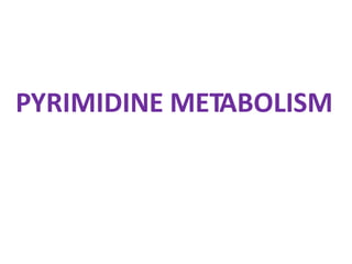 PYRIMIDINE METABOLISM
 