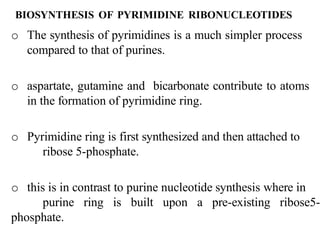 BIOSYNTHESIS OF PYRIMIDINE RIBONUCLEOTIDES
o The synthesis of pyrimidines is a much simpler process
compared to that of purines.
o aspartate, gutamine and bicarbonate contribute to atoms
in the formation of pyrimidine ring.
o Pyrimidine ring is first synthesized and then attached to
ribose 5-phosphate.
o this is in contrast to purine nucleotide synthesis where in
purine ring is built upon a pre-existing ribose5-
phosphate.
 