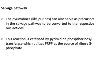 Salvage pathway
o The pyrimidines (like purines) can also serve as precursors
in the salvage pathway to be converted to the respective
nucleotides.
o This reaction is catalysed by pyrimidine phospshoribosyl
transferase which utilizes PRPP as the source of ribose 5-
phosphate.
 