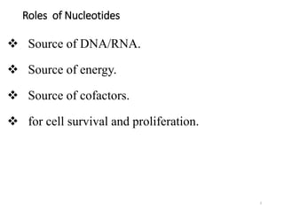 Roles of Nucleotides
 Source of DNA/RNA.
 Source of energy.
 Source of cofactors.
 for cell survival and proliferation.
3
 