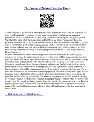 The Process of Natural Selection Essay
Natural selection is the process in which heritable traits that make it more likely for organisms to
survive and successfully reproduce become more common in a population over successive
generations. Each of us individuals is specifically shaped and formed by our own genetic pattern.
We inherit this pattern half from are mother and half from are father. The cause of this is the
proximate cause that led it's phenotype to ultimate causes. Much of we know today about evolution
derives from the late great pioneer, Charles Darwin. Charles Darwin was an english naturalist that
even from an early age was very interested in outdoor pursuits. Early in his prep career his father
tried sending him to the University of Edinburg to pursue his medical ... Show more content on
Helpwriting.net ...
More so that the smaller lizards were more probable to die off despite the the lack of natural
selection, but because the larger stronger lizards in certain areas still had more access to food. the
particular lizards with longer legs had the advantage because they were able to climb trees to escape
storms that came and reach food better which in return wasn't available to the rest down below.
More great examples of this are humans, cheetahs, and peacocks. Evolution is in basic terms the
matter of survival and reproduction. It is the process that on a regular basis shapes and molds all of
life on our earth. Charles Darwin's concepts comes down to three principles which include: There
must be a difference in the individuals within the population, certain individuals must reproduce at a
faster and higher rate than the others, and lastly characteristics that helped them survive must be
passed on to there offspring. According to Darwin's theories people are sexually selected. meaning
all of sexual selection is all of natural selection. People preference of one sex affect the evolution of
the other sex. for example the better you can dance the better fertile you are and vise versa. Dancing
in many species means that the better you can dance the better you are off because the quality of
dance is the symbol of being more reproductive. Many of his colleagues at the time were feeling
dumb for not
... Get more on HelpWriting.net ...
 