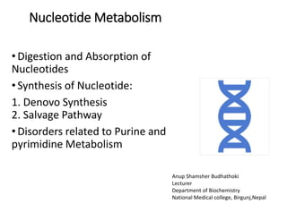 Nucleotide Metabolism
•Digestion and Absorption of
Nucleotides
•Synthesis of Nucleotide:
1. Denovo Synthesis
2. Salvage Pathway
•Disorders related to Purine and
pyrimidine Metabolism
Anup Shamsher Budhathoki
Lecturer
Department of Biochemistry
National Medical college, Birgunj,Nepal
 
