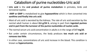 Catabolism of purine nucleotides-Uric acid
• Uric acid is the end product of purine metabolism in primates, birds and
terrestrial reptiles
• AMP or GMP is metabolized to give hypoxanthine which is then converted into
xanthine and finally into uric acid.
• Most of uric acid is excreted by the kidneys. The rate of uric acid excretion by the
normal adult human is about 0.6 g/24 h, arising in part from ingested purines
and in part from the turnover of the purine nucleotides of nucleic acids.
• The normal serum uric acid concentration in adults is in the range of 3-7 mg/dl.
• But under certain circumstances, the body produces too much uric acid or
removes too little.
• In either case, concentrations of uric acid increase in the blood. This condition is
known as hyperuricemia.
19
 