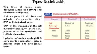 Types- Nucleic acids
• Two kinds of nucleic acids-
deoxyribonucleic acid (DNA) and
ribonucleic acid (RNA).
• Both are present in all plants and
animals. Viruses contain either
RNA or DNA, but not both.
• DNA- in the chromatin of the cell
nucleus whereas (90%) of the RNA-
present in the cell cytoplasm and
(10%) in the nucleus.
• Hydrolysis of nucleic acids yield 3
components : phosphoric acid, a
pentose sugar and nitrogenous
bases.
4
 