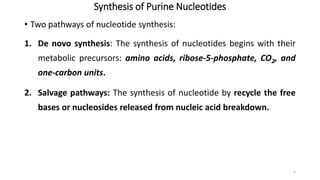Synthesis of Purine Nucleotides
• Two pathways of nucleotide synthesis:
1. De novo synthesis: The synthesis of nucleotides begins with their
metabolic precursors: amino acids, ribose-5-phosphate, CO2, and
one-carbon units.
2. Salvage pathways: The synthesis of nucleotide by recycle the free
bases or nucleosides released from nucleic acid breakdown.
5
 