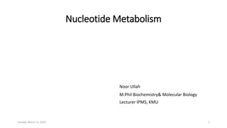 Nucleotide Metabolism
Noor Ullah
M.Phil Biochemistry& Molecular Biology
Lecturer IPMS, KMU
Tuesday, March 12, 2024 1
 