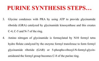 Formylglycinamide Ribotide nucleotide metabolism purine and pyrimidine synthesis.pptx