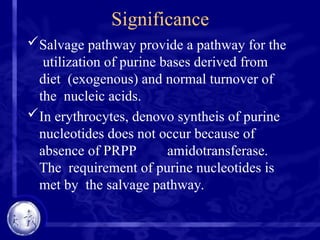 Significance
Salvage pathway provide a pathway for the
utilization of purine bases derived from
diet (exogenous) and normal turnover of
the nucleic acids.
In erythrocytes, denovo syntheis of purine
nucleotides does not occur because of
absence of PRPP amidotransferase.
The requirement of purine nucleotides is
met by the salvage pathway.
 