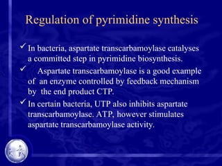 Regulation of pyrimidine synthesis
In bacteria, aspartate transcarbamoylase catalyses
a committed step in pyrimidine biosynthesis.
 Aspartate transcarbamoylase is a good example
of an enzyme controlled by feedback mechanism
by the end product CTP.
In certain bacteria, UTP also inhibits aspartate
transcarbamoylase. ATP, however stimulates
aspartate transcarbamoylase activity.
 