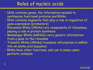 Roles of nucleic acids
10/10/05
3
• DNA contains genes, the information needed to
synthesize functional proteins and RNAs
• DNA contains segments that play a role in regulation of
gene expression (promoters)
• Ribosomal RNAs (rRNAs) are components of ribosomes,
playing a role in protein synthesis
• Messenger RNAs (mRNAs) carry genetic information
from a gene to the ribosome
• Transfer RNAs (tRNAs) translate information in mRNA
into an amino acid sequence
• RNAs have other functions, and can in some cases
perform catalysis
 