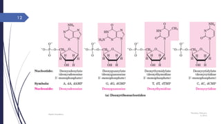 Thursday, February
4, 2016
Rajesh Chaudhary
12
 