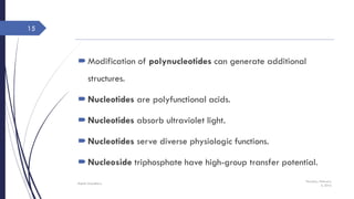 Modification of polynucleotides can generate additional
structures.
Nucleotides are polyfunctional acids.
Nucleotides absorb ultraviolet light.
Nucleotides serve diverse physiologic functions.
Nucleoside triphosphate have high-group transfer potential.
Thursday, February
4, 2016
Rajesh Chaudhary
15
 