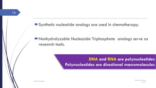 Thursday, February
4, 2016
Rajesh Chaudhary
16
Synthetic nucleotide analogs are used in chemotherapy.
Nonhydrolyzable Nucleoside Triphosphate analogs serve as
research tools.
DNA and RNA are polynucleotides
Polynucleotides are directional macromolecules
 