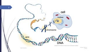 Thursday, February
4, 2016
Rajesh Chaudhary
2
 