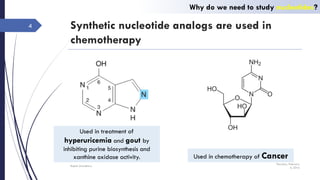 Synthetic nucleotide analogs are used in
chemotherapy
Used in treatment of
hyperuricemia and gout by
inhibiting purine biosynthesis and
xanthine oxidase activity. Used in chemotherapy of Cancer
Thursday, February
4, 2016
Rajesh Chaudhary
4
Why do we need to study nucleotides?
 