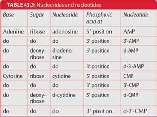 Neceotide Table Nucleotides chemistry and metabolism | PPTX