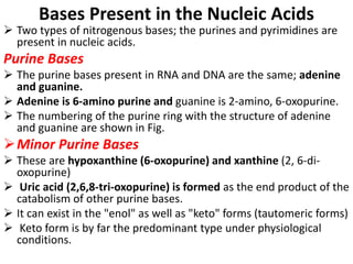 Type Ring Base Nucleotides chemistry and metabolism | PPTX