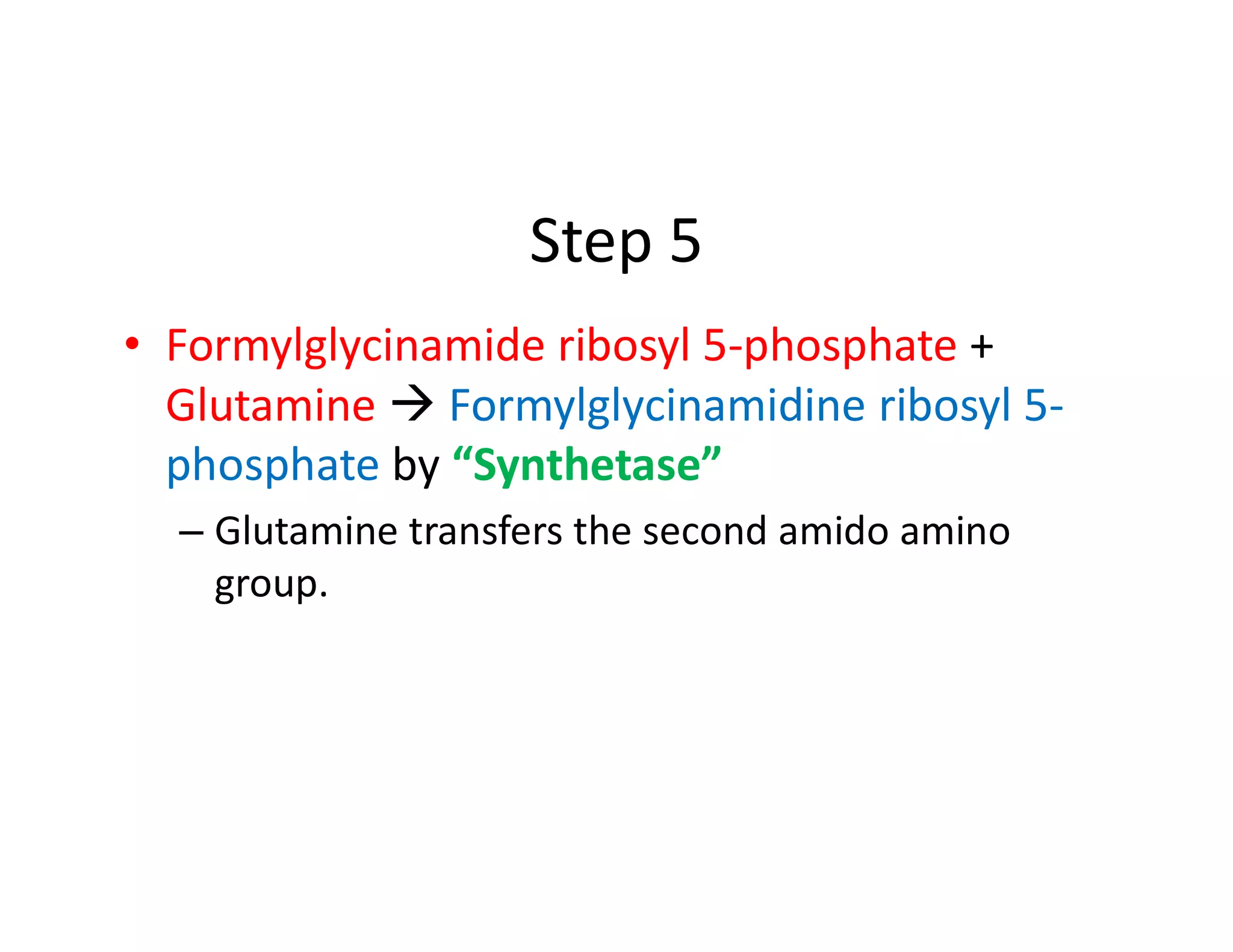 Formylglycinamide Ribotide Biosynthesis of Purine and Pyrimidine Nucleotides | PDF