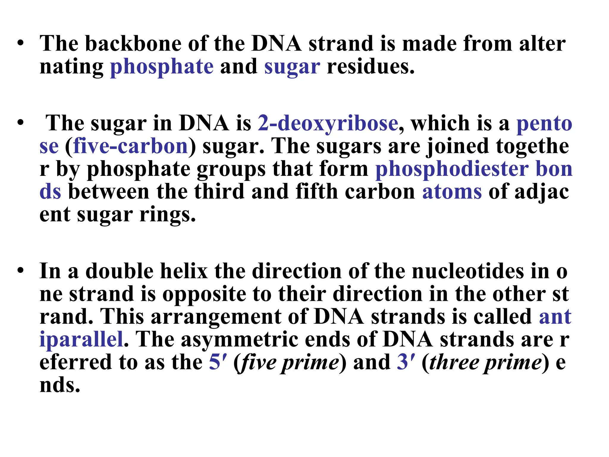 • The backbone of the DNA strand is made from alter
nating phosphate and sugar residues.
• The sugar in DNA is 2-deoxyribose, which is a pento
se (five-carbon) sugar. The sugars are joined togethe
r by phosphate groups that form phosphodiester bon
ds between the third and fifth carbon atoms of adjac
ent sugar rings.
• In a double helix the direction of the nucleotides in o
ne strand is opposite to their direction in the other st
rand. This arrangement of DNA strands is called ant
iparallel. The asymmetric ends of DNA strands are r
eferred to as the 5′ (five prime) and 3′ (three prime) e
nds.
 