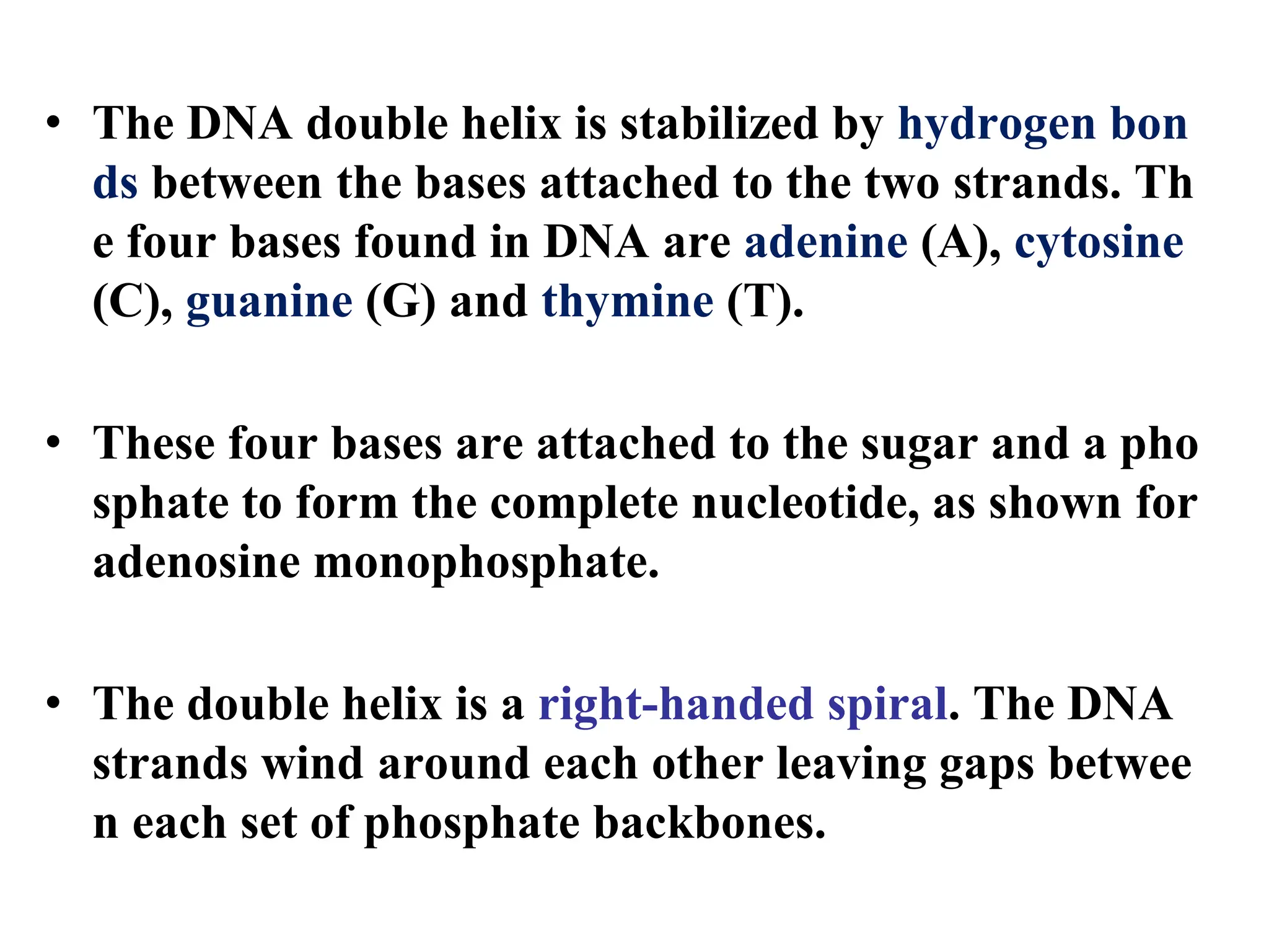 • The DNA double helix is stabilized by hydrogen bon
ds between the bases attached to the two strands. Th
e four bases found in DNA are adenine (A), cytosine
(C), guanine (G) and thymine (T).
• These four bases are attached to the sugar and a pho
sphate to form the complete nucleotide, as shown for
adenosine monophosphate.
• The double helix is a right-handed spiral. The DNA
strands wind around each other leaving gaps betwee
n each set of phosphate backbones.
 