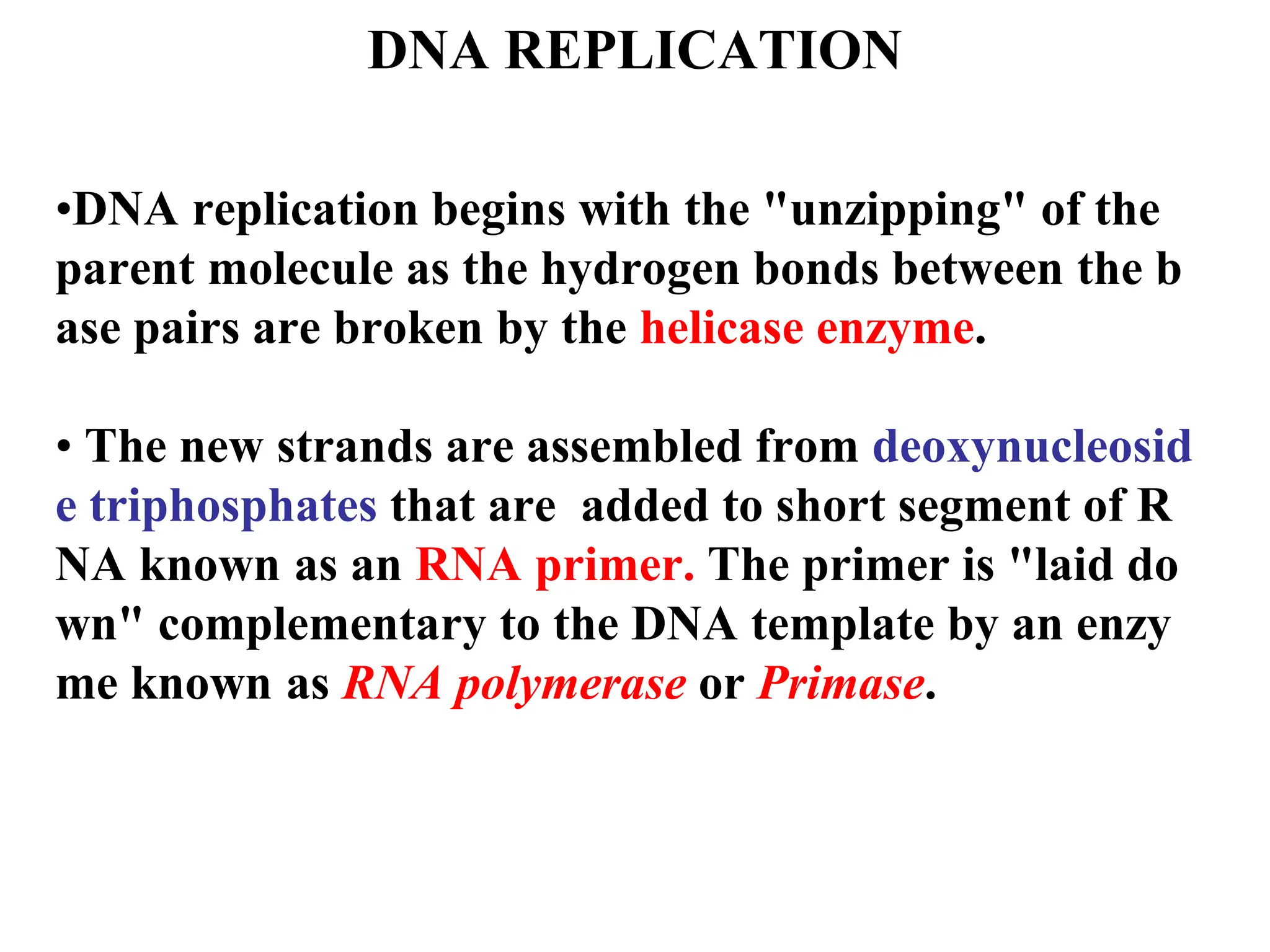 DNA REPLICATION
•DNA replication begins with the "unzipping" of the
parent molecule as the hydrogen bonds between the b
ase pairs are broken by the helicase enzyme.
• The new strands are assembled from deoxynucleosid
e triphosphates that are added to short segment of R
NA known as an RNA primer. The primer is "laid do
wn" complementary to the DNA template by an enzy
me known as RNA polymerase or Primase.
 