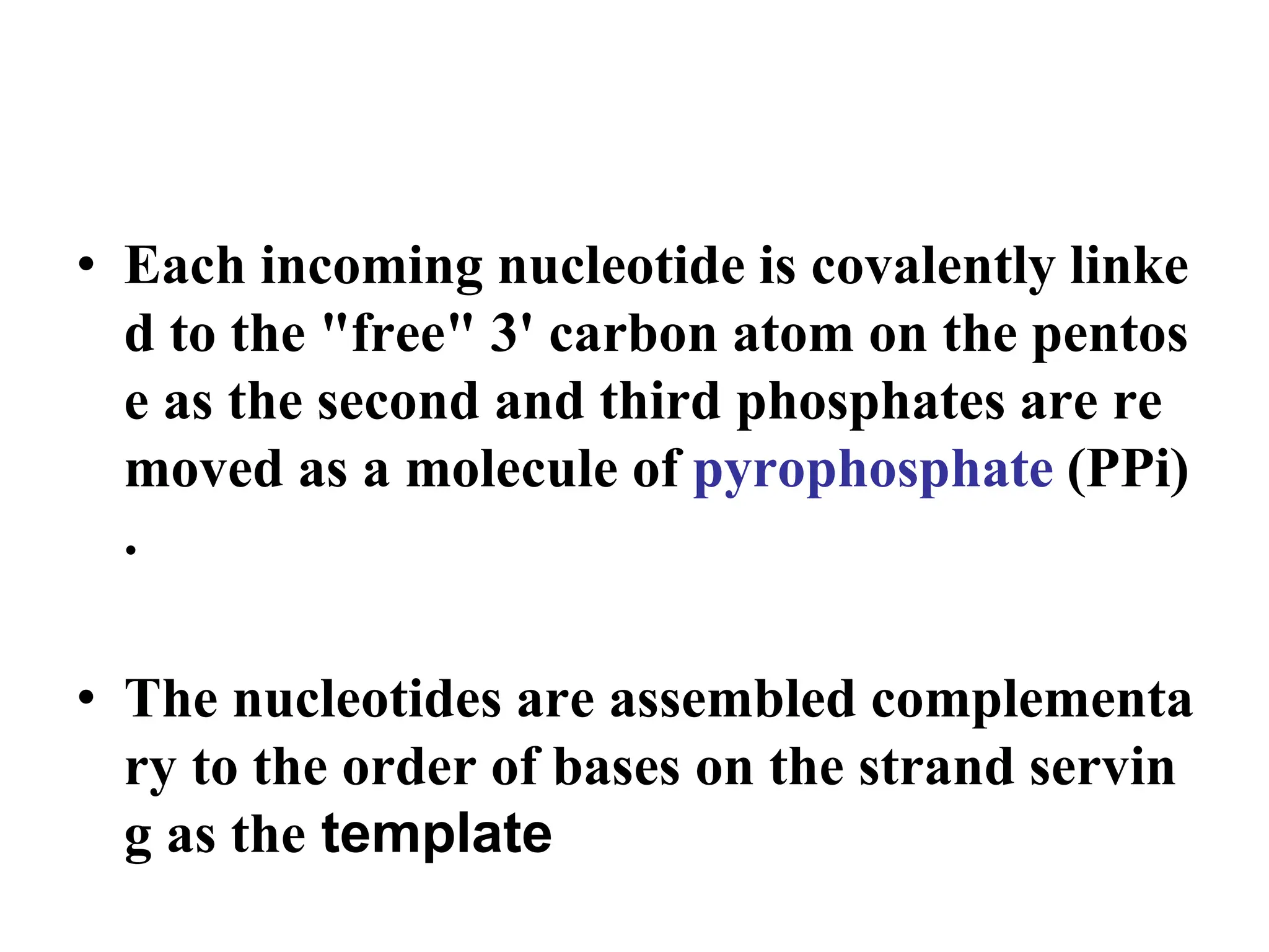 • Each incoming nucleotide is covalently linke
d to the "free" 3' carbon atom on the pentos
e as the second and third phosphates are re
moved as a molecule of pyrophosphate (PPi)
.
• The nucleotides are assembled complementa
ry to the order of bases on the strand servin
g as the template
 
