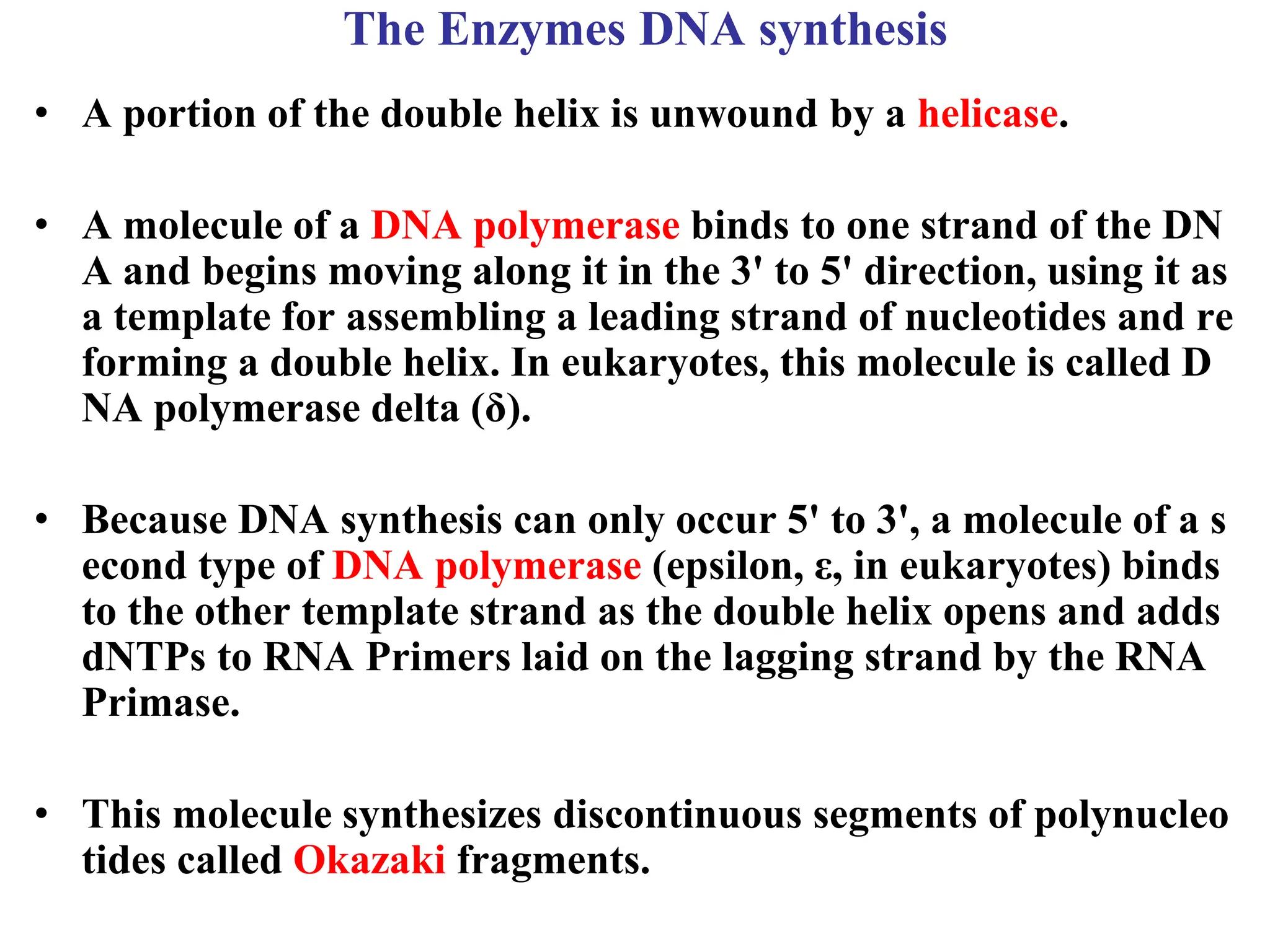 The Enzymes DNA synthesis
• A portion of the double helix is unwound by a helicase.
• A molecule of a DNA polymerase binds to one strand of the DN
A and begins moving along it in the 3' to 5' direction, using it as
a template for assembling a leading strand of nucleotides and re
forming a double helix. In eukaryotes, this molecule is called D
NA polymerase delta (δ).
• Because DNA synthesis can only occur 5' to 3', a molecule of a s
econd type of DNA polymerase (epsilon, ε, in eukaryotes) binds
to the other template strand as the double helix opens and adds
dNTPs to RNA Primers laid on the lagging strand by the RNA
Primase.
• This molecule synthesizes discontinuous segments of polynucleo
tides called Okazaki fragments.
 
