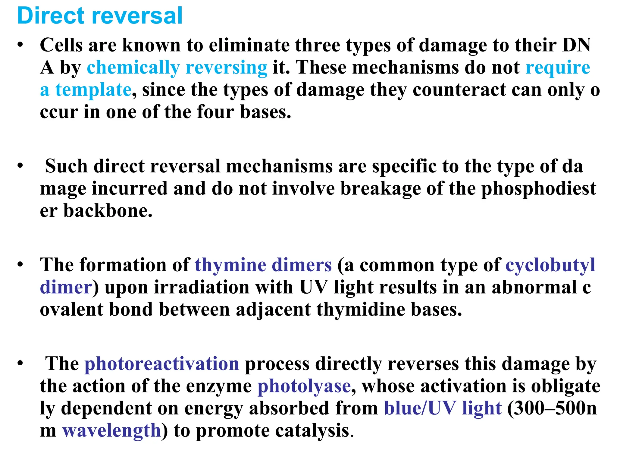 Direct reversal
• Cells are known to eliminate three types of damage to their DN
A by chemically reversing it. These mechanisms do not require
a template, since the types of damage they counteract can only o
ccur in one of the four bases.
• Such direct reversal mechanisms are specific to the type of da
mage incurred and do not involve breakage of the phosphodiest
er backbone.
• The formation of thymine dimers (a common type of cyclobutyl
dimer) upon irradiation with UV light results in an abnormal c
ovalent bond between adjacent thymidine bases.
• The photoreactivation process directly reverses this damage by
the action of the enzyme photolyase, whose activation is obligate
ly dependent on energy absorbed from blue/UV light (300–500n
m wavelength) to promote catalysis.
 