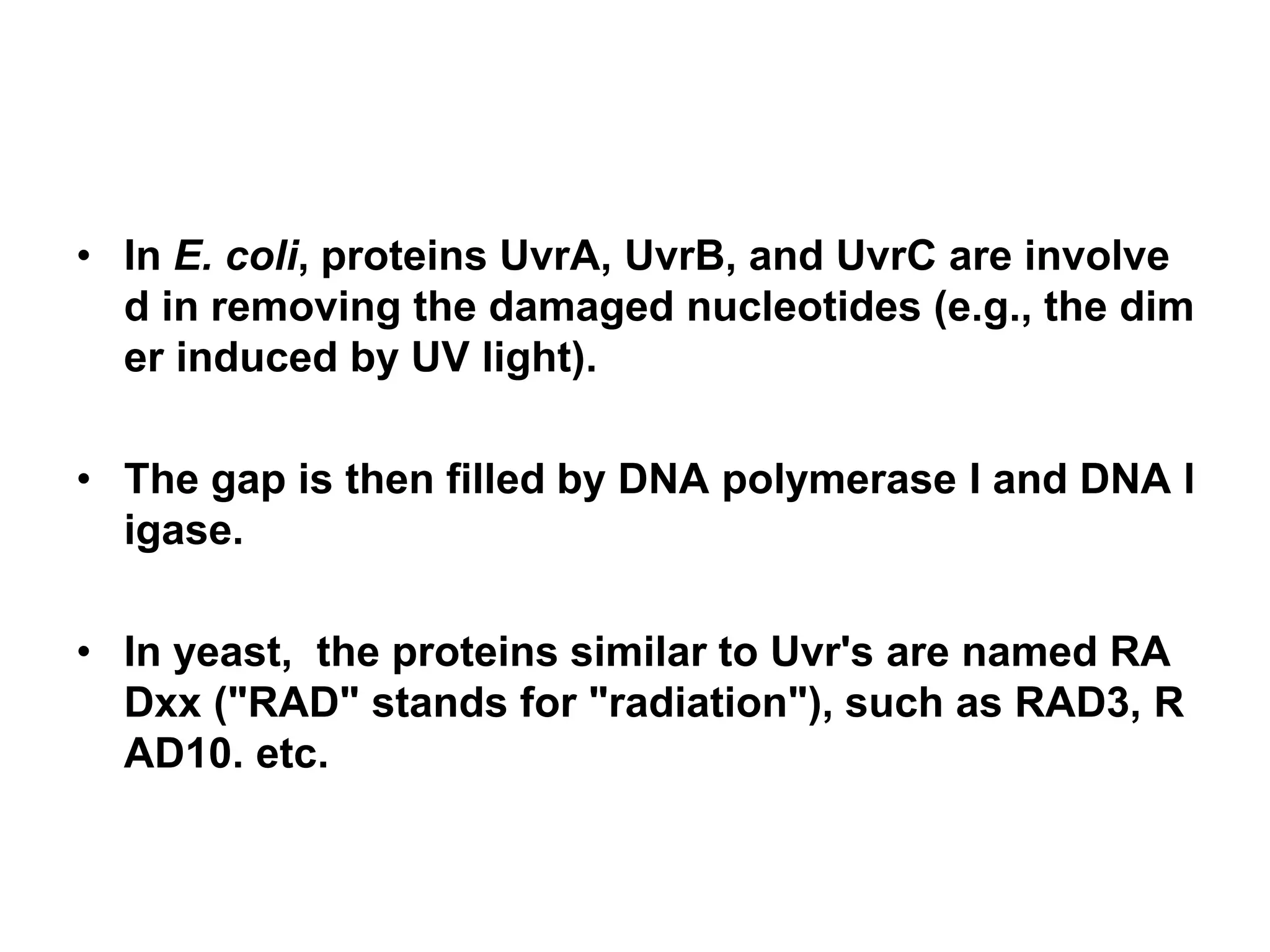 • In E. coli, proteins UvrA, UvrB, and UvrC are involve
d in removing the damaged nucleotides (e.g., the dim
er induced by UV light).
• The gap is then filled by DNA polymerase I and DNA l
igase.
• In yeast, the proteins similar to Uvr's are named RA
Dxx ("RAD" stands for "radiation"), such as RAD3, R
AD10. etc.
 