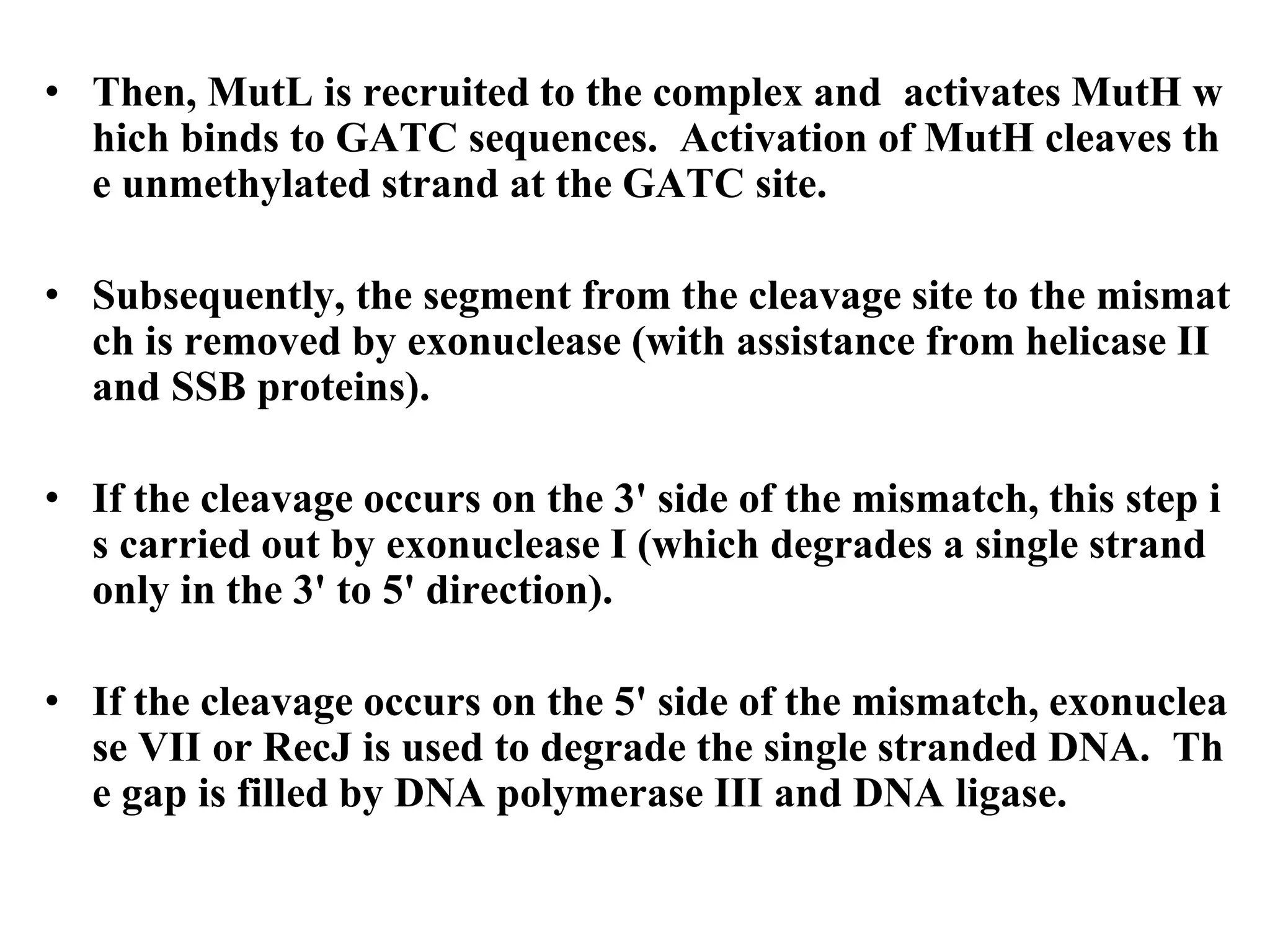 • Then, MutL is recruited to the complex and activates MutH w
hich binds to GATC sequences. Activation of MutH cleaves th
e unmethylated strand at the GATC site.
• Subsequently, the segment from the cleavage site to the mismat
ch is removed by exonuclease (with assistance from helicase II
and SSB proteins).
• If the cleavage occurs on the 3' side of the mismatch, this step i
s carried out by exonuclease I (which degrades a single strand
only in the 3' to 5' direction).
• If the cleavage occurs on the 5' side of the mismatch, exonuclea
se VII or RecJ is used to degrade the single stranded DNA. Th
e gap is filled by DNA polymerase III and DNA ligase.
 