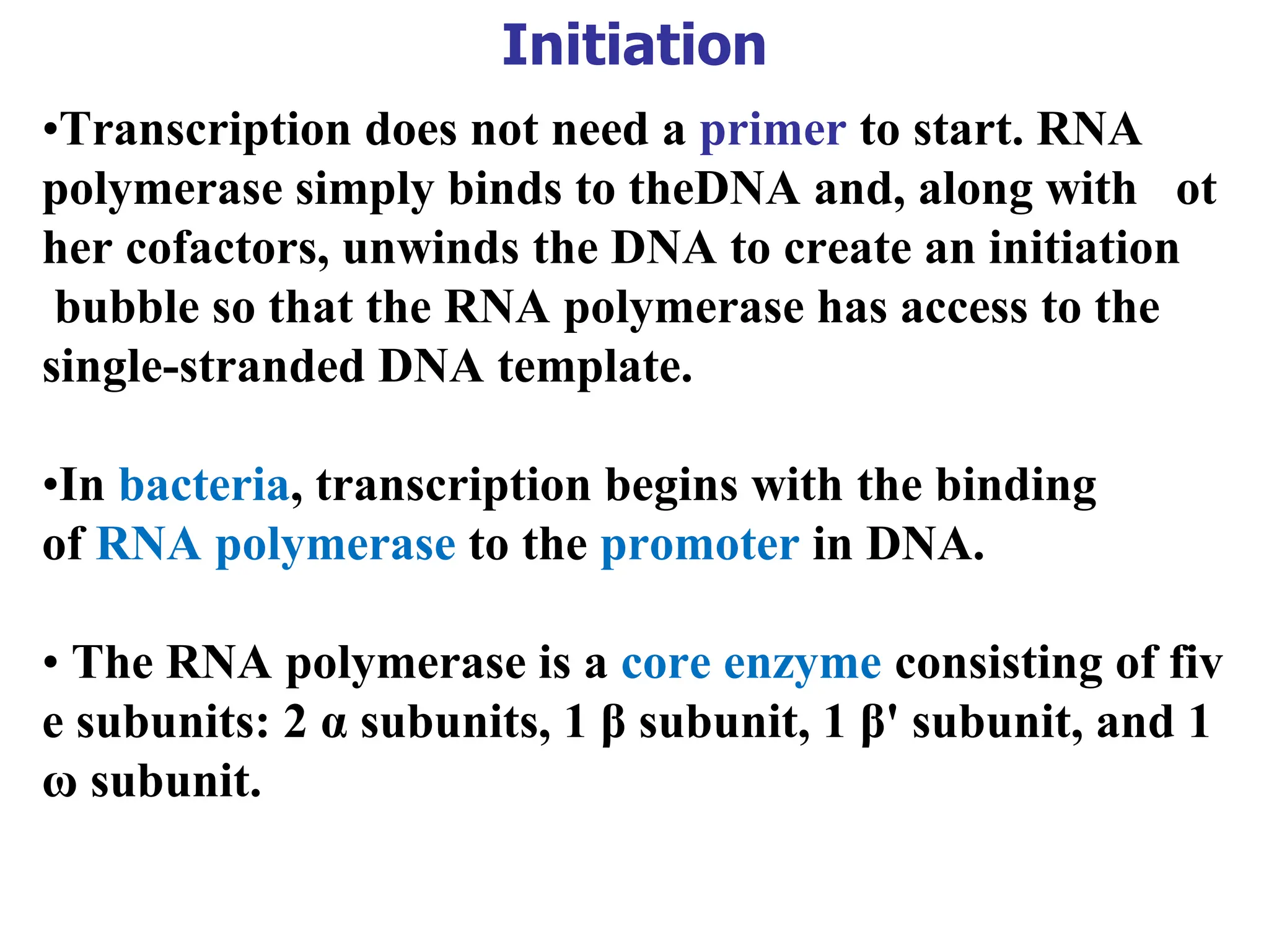 Initiation
•Transcription does not need a primer to start. RNA
polymerase simply binds to theDNA and, along with ot
her cofactors, unwinds the DNA to create an initiation
bubble so that the RNA polymerase has access to the
single-stranded DNA template.
•In bacteria, transcription begins with the binding
of RNA polymerase to the promoter in DNA.
• The RNA polymerase is a core enzyme consisting of fiv
e subunits: 2 α subunits, 1 β subunit, 1 β' subunit, and 1
ω subunit.
 