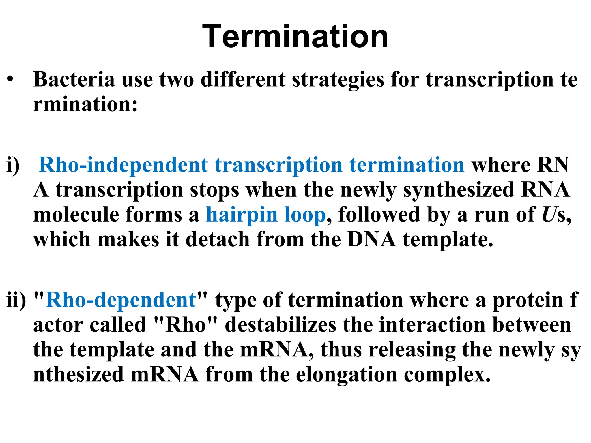 Termination
• Bacteria use two different strategies for transcription te
rmination:
i) Rho-independent transcription termination where RN
A transcription stops when the newly synthesized RNA
molecule forms a hairpin loop, followed by a run of Us,
which makes it detach from the DNA template.
ii) "Rho-dependent" type of termination where a protein f
actor called "Rho" destabilizes the interaction between
the template and the mRNA, thus releasing the newly sy
nthesized mRNA from the elongation complex.
 