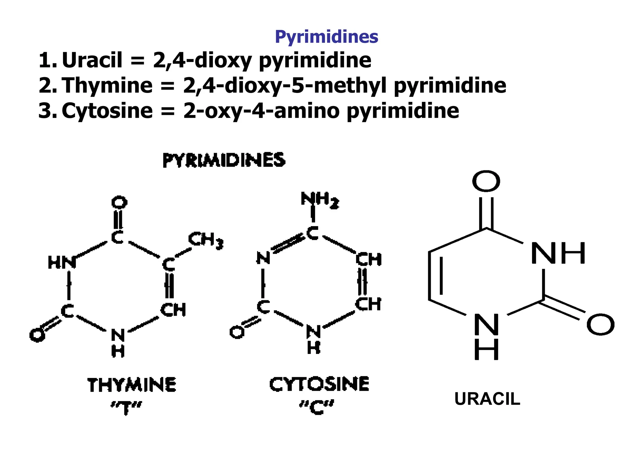 Pyrimidines
1. Uracil = 2,4-dioxy pyrimidine
2. Thymine = 2,4-dioxy-5-methyl pyrimidine
3. Cytosine = 2-oxy-4-amino pyrimidine
URACIL
 