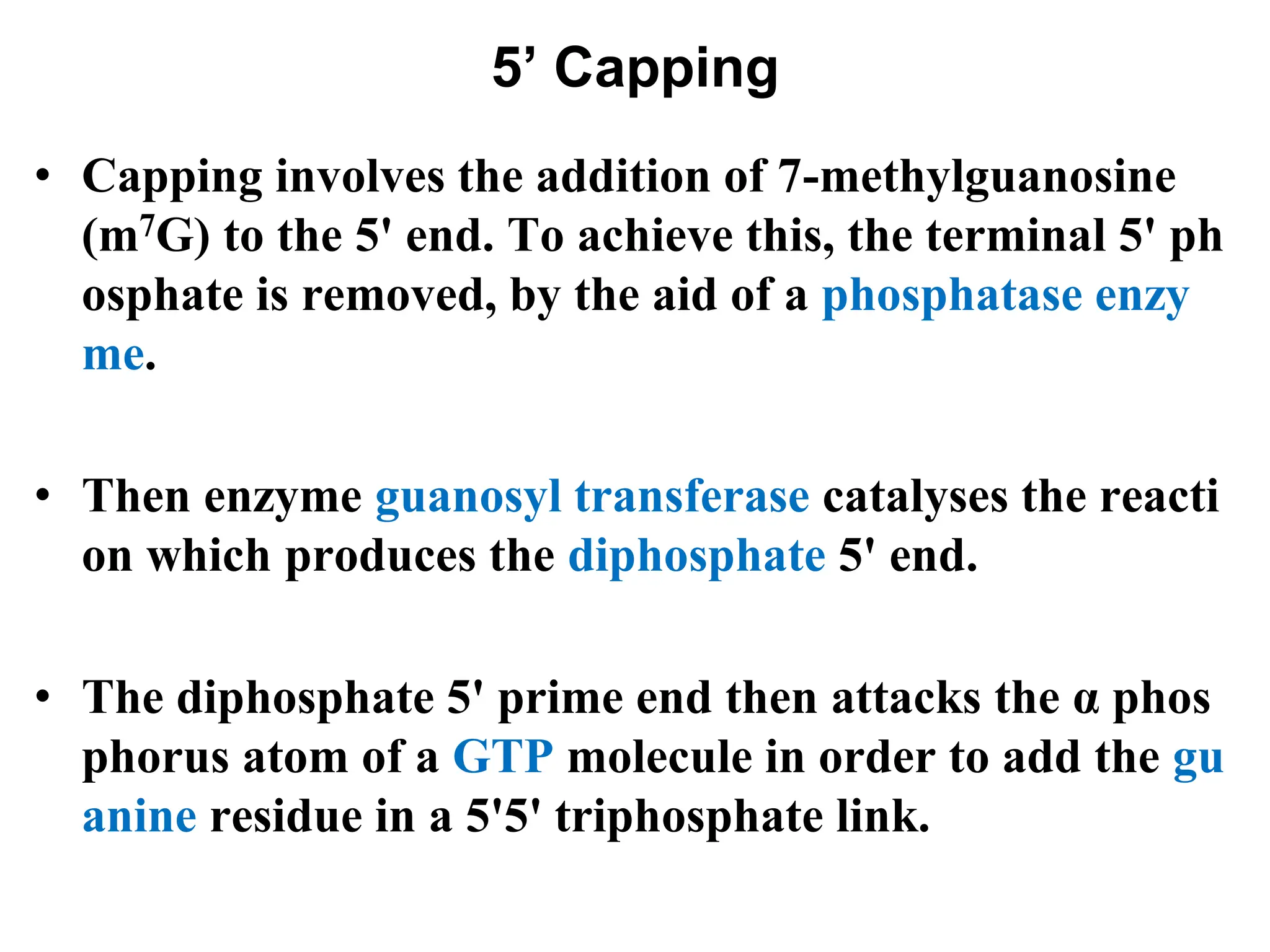 5’ Capping
• Capping involves the addition of 7-methylguanosine
(m7G) to the 5' end. To achieve this, the terminal 5' ph
osphate is removed, by the aid of a phosphatase enzy
me.
• Then enzyme guanosyl transferase catalyses the reacti
on which produces the diphosphate 5' end.
• The diphosphate 5' prime end then attacks the α phos
phorus atom of a GTP molecule in order to add the gu
anine residue in a 5'5' triphosphate link.
 