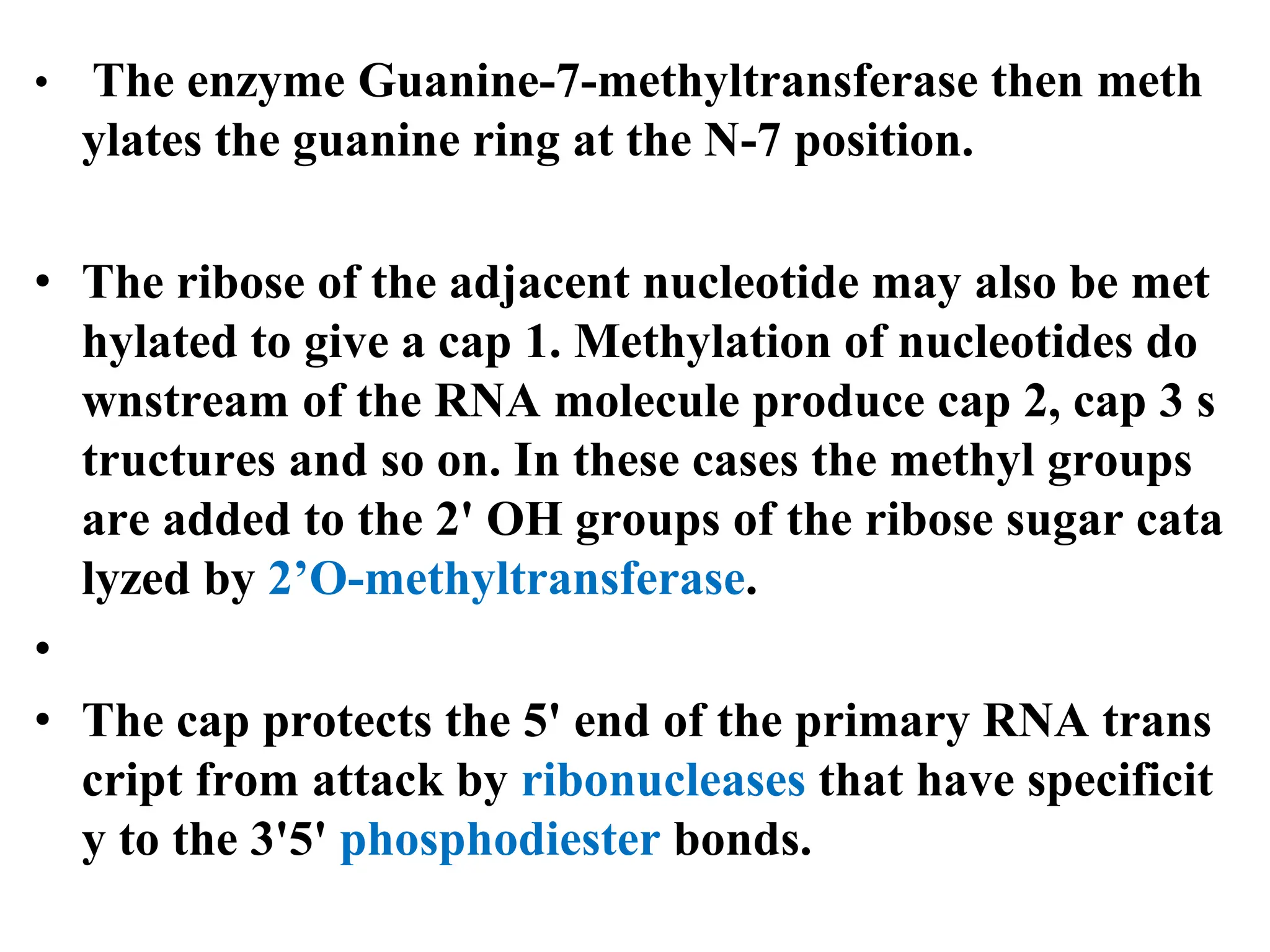 • The enzyme Guanine-7-methyltransferase then meth
ylates the guanine ring at the N-7 position.
• The ribose of the adjacent nucleotide may also be met
hylated to give a cap 1. Methylation of nucleotides do
wnstream of the RNA molecule produce cap 2, cap 3 s
tructures and so on. In these cases the methyl groups
are added to the 2' OH groups of the ribose sugar cata
lyzed by 2’O-methyltransferase.
•
• The cap protects the 5' end of the primary RNA trans
cript from attack by ribonucleases that have specificit
y to the 3'5' phosphodiester bonds.
 