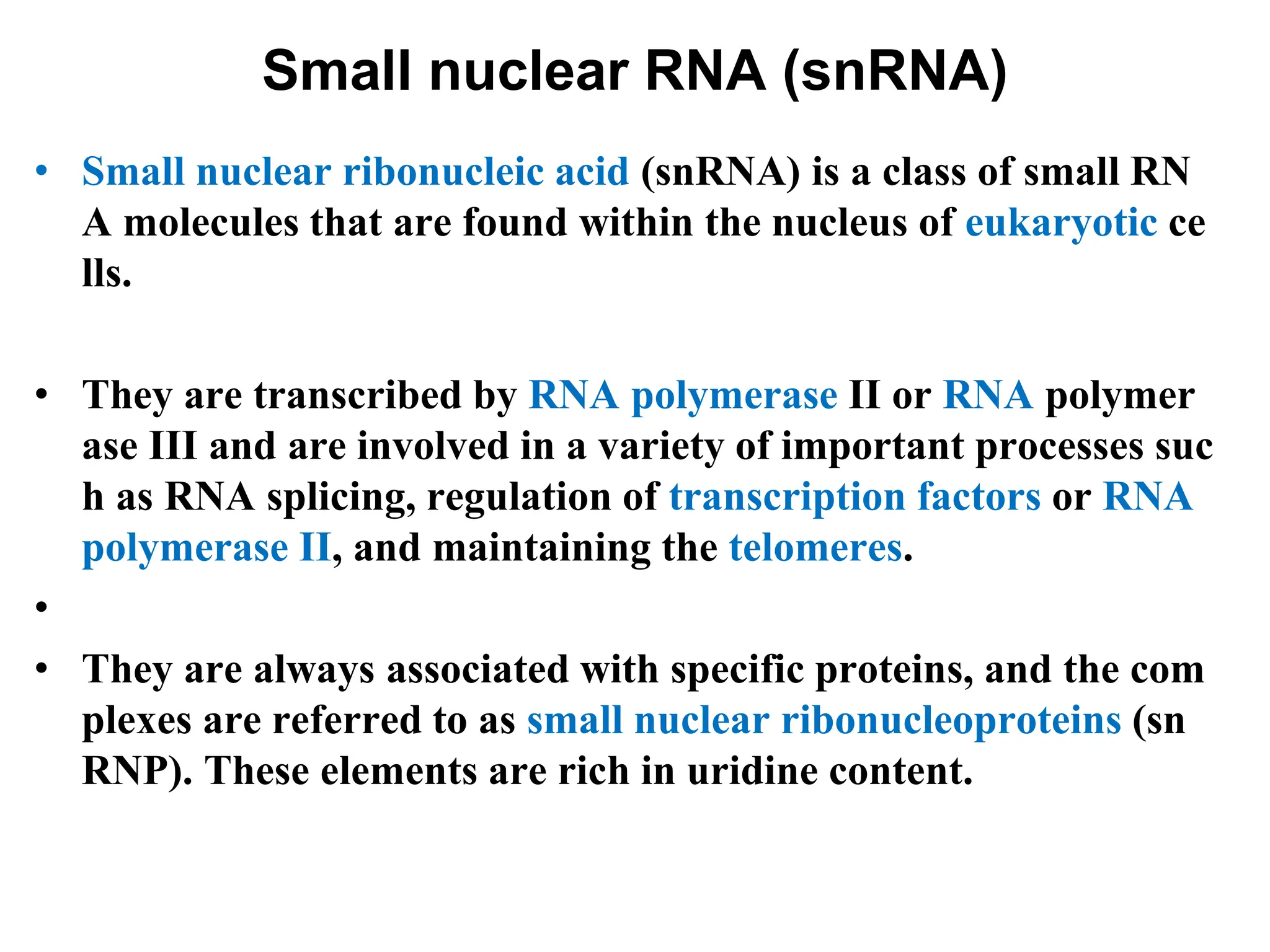 Small nuclear RNA (snRNA)
• Small nuclear ribonucleic acid (snRNA) is a class of small RN
A molecules that are found within the nucleus of eukaryotic ce
lls.
• They are transcribed by RNA polymerase II or RNA polymer
ase III and are involved in a variety of important processes suc
h as RNA splicing, regulation of transcription factors or RNA
polymerase II, and maintaining the telomeres.
•
• They are always associated with specific proteins, and the com
plexes are referred to as small nuclear ribonucleoproteins (sn
RNP). These elements are rich in uridine content.
 
