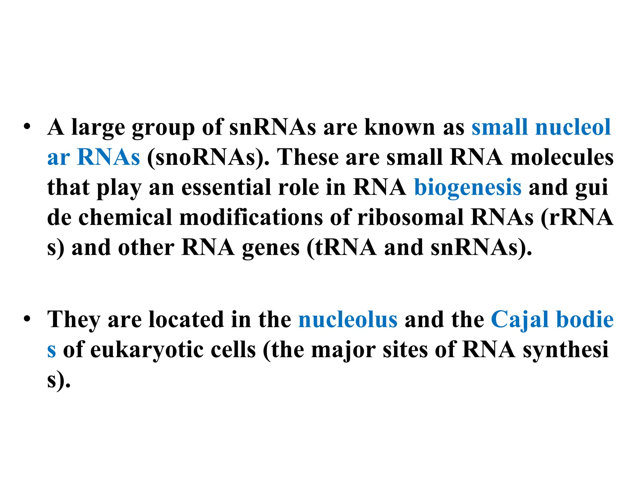 • A large group of snRNAs are known as small nucleol
ar RNAs (snoRNAs). These are small RNA molecules
that play an essential role in RNA biogenesis and gui
de chemical modifications of ribosomal RNAs (rRNA
s) and other RNA genes (tRNA and snRNAs).
• They are located in the nucleolus and the Cajal bodie
s of eukaryotic cells (the major sites of RNA synthesi
s).
 