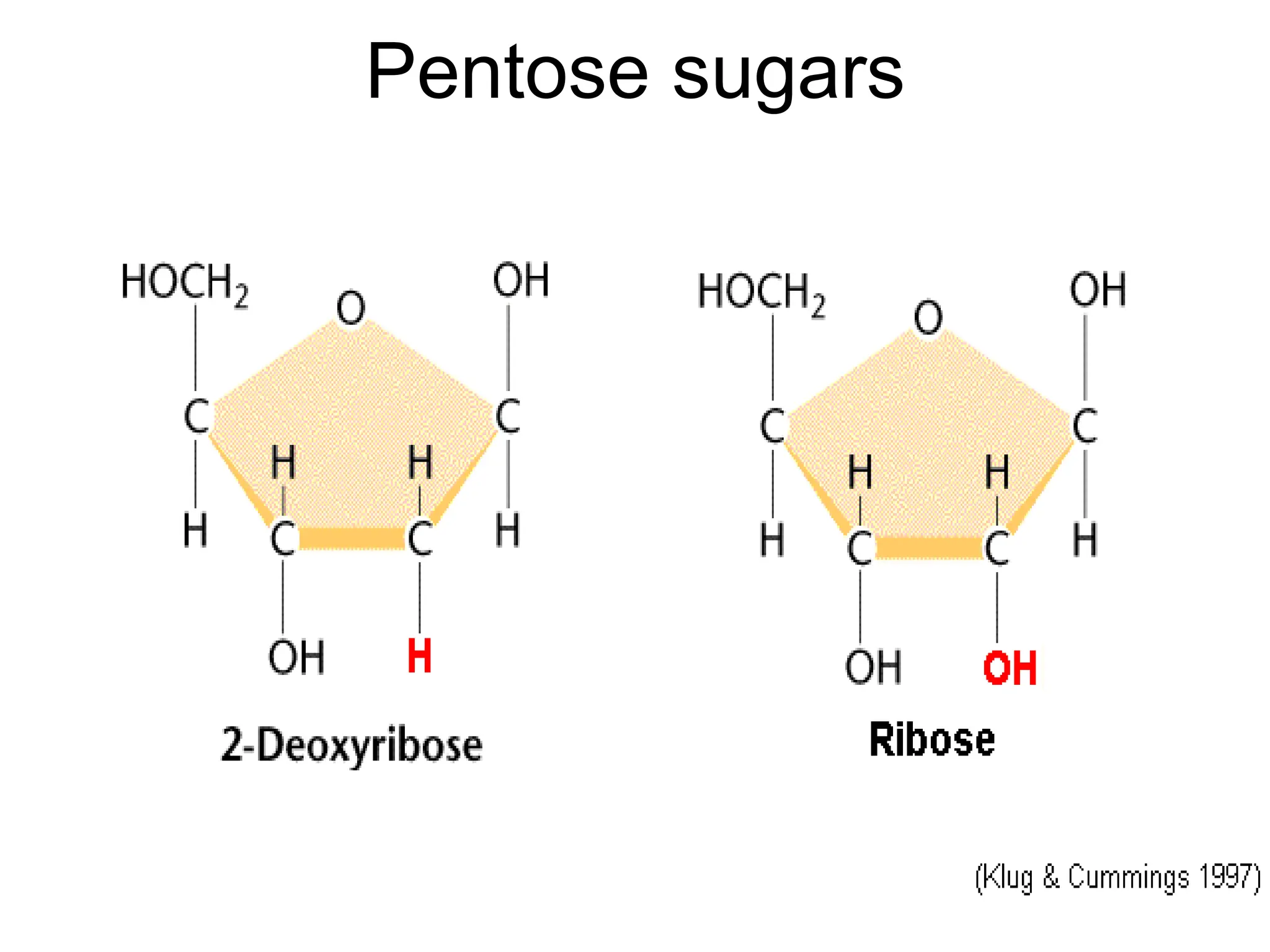 Pentose sugars
 