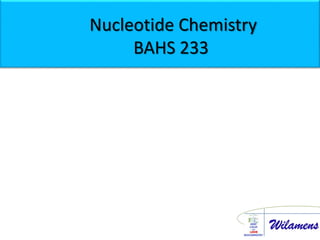 Nucleotide Chemistry
BAHS 233
 