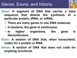 Genes, Exons, and Introns
Gene: A segment of DNA that carries a base
sequence that directs the synthesis of a
particular protein, tRNA, or mRNA.
• There are many genes in one DNA molecule.
• In bacteria, the gene is continuous.
• In higher organisms, the gene is
discontinuous.
Exon: A section of DNA that, when transcribed,
codes for a protein or RNA.
Intron: A section of DNA that does not code for
anything functional.
 