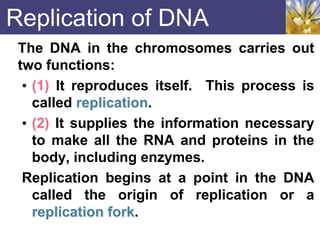 Replication of DNA
The DNA in the chromosomes carries out
two functions:
• (1) It reproduces itself. This process is
called replication.
• (2) It supplies the information necessary
to make all the RNA and proteins in the
body, including enzymes.
Replication begins at a point in the DNA
called the origin of replication or a
replication fork.
 